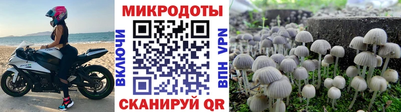 Галлюциногенные грибы Magic Shrooms  даркнет состав  Лихославль 